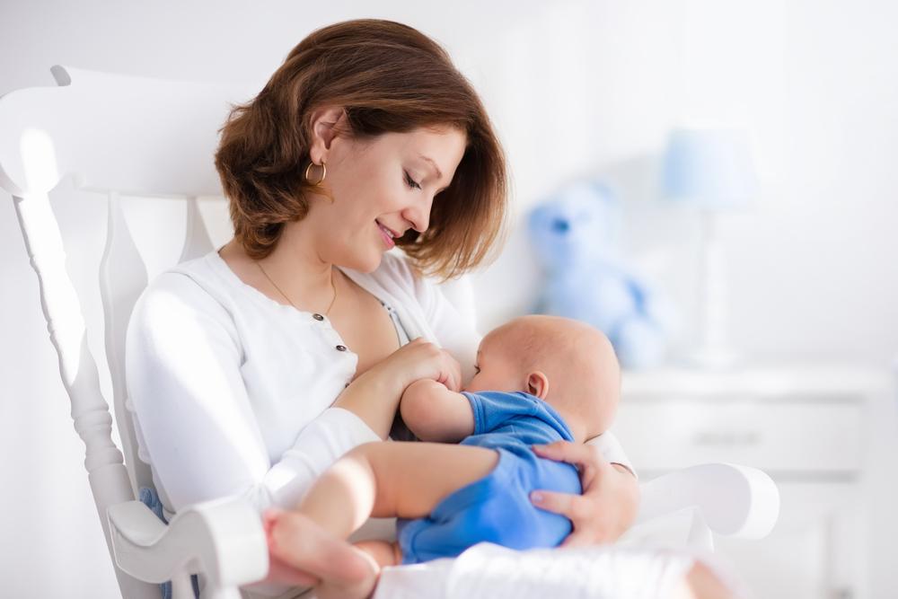 Stock photos: FamVeld/Shutterstock.com